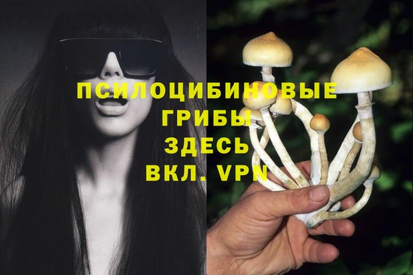 ALPHA PVP Балабаново