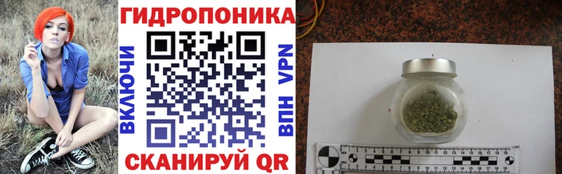 Канабис сатива  Пугачёв 